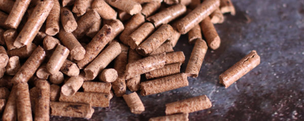 granulés de bois